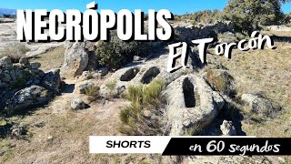 Necropolis del Torcón - #SHORTS