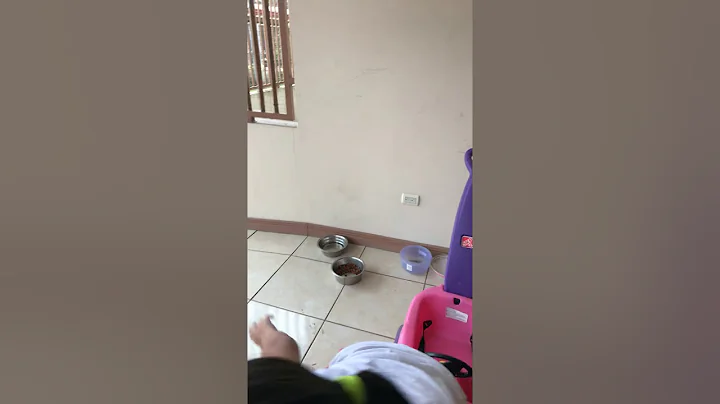 Tour de mi casa !!(Amy Avila)