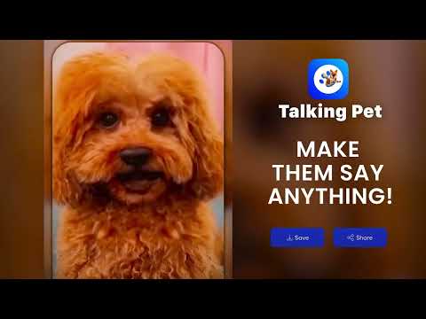 Imagen de la captura de pantalla