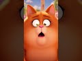 Fat Ginger Cat Went to the Gym… His Shorts DIDN’T Survive 😂💥