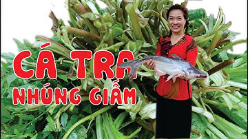 Cá tra nhúng giấm - không thể bỏ qua