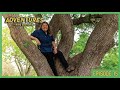Adventures with EduKatie! Episode Fifteen: Trees!