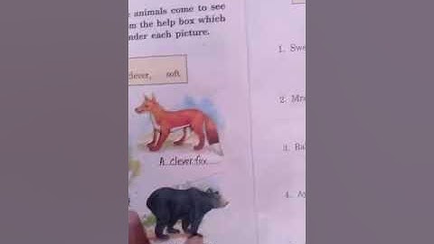 DAV 2nd class chapter 10 English practice book exercise