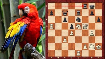 The first official Chess Brilliancy Prize Game! : Henry Bird vs James Mason: 1876 New York