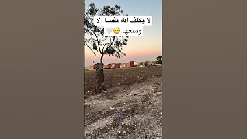 لن تصدق الراحة النفسية 🌙💖 | أجمل تلاوة قرآن كريم قصيرة تريح القلب وتبكي العيون