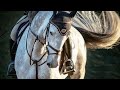 Counting stars  equestrian music