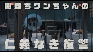 闇堕ちワンちゃん、飼い主に仁義なき復讐！大人向けペットコメディー『スラムドッグス』特報