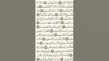 بعض آيات سورة الشعراء