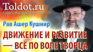 Семь причин преимущества пробуждения посредством Торы. Рав Ашер Кушнир. «Обязанности сердца» 31