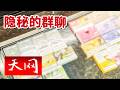 《天网》咖啡香气掩盖水果味陷阱 警方乔装揭开校园烟祸！20260602