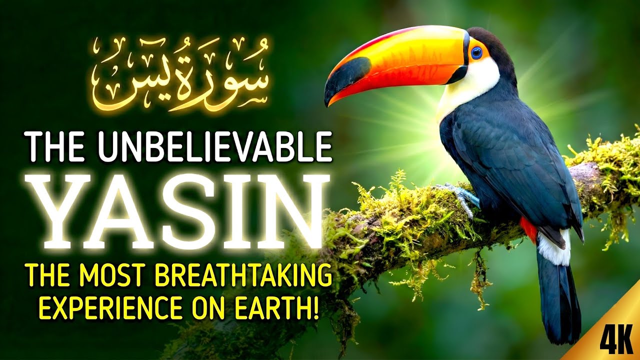 Soulful Recitation to Heal Your Heart: Surah Yasin (Very Emotional) | Zain Abu Kautsar