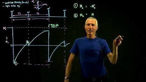 13 InversionRecovery,SpinEcho