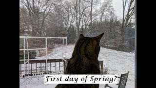 First Day of Spring 2018