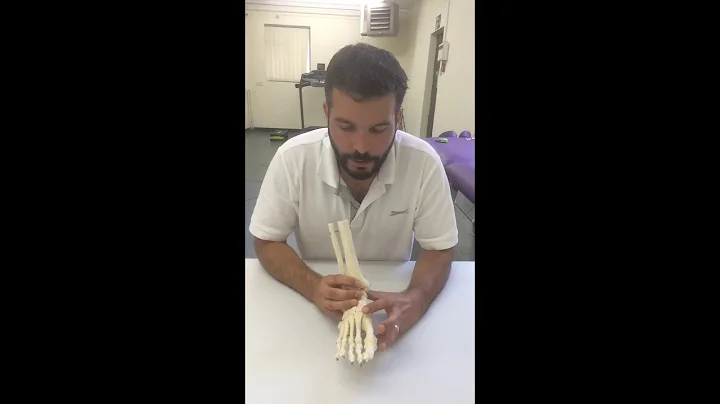 How do foot orthoses work?