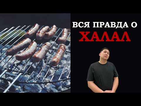 Вся правда о Халал. Инфраструктура качества