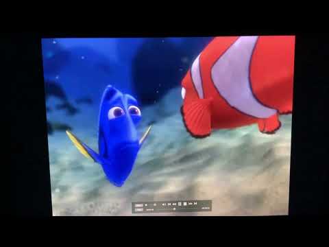 Finding Nemo dory crying in full screen