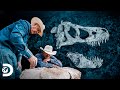 Descoberta de ossos de crânio de um Terópodes | Caçadores de Dinossauros | Discovery Brasil