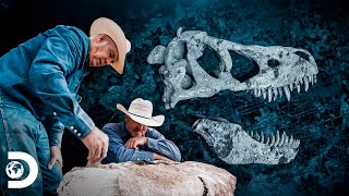 Descoberta de ossos de crânio de um Terópodes | Caçadores de Dinossauros | Discovery Brasil screenshot 1