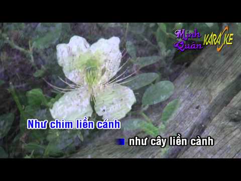 Video Karaoke - Lien khuc Tuan Vu (chuyện tình Lan và Điệp) - youtube