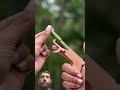 DIY mini Bamboo Creation slingshot #diy #bamboo1 #bamboo #bambooart #bamboocrafts