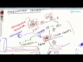 COVID-19 Insights: Hypercoagulability - Part 2 (Coagulation cascade.)