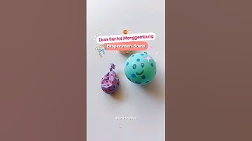 Eksperimen Sains Balon - Ikan Buntal Menggembung #eksperimen #shorts