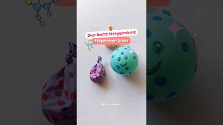 Eksperimen Sains Balon - Ikan Buntal Menggembung