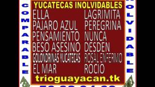 Ella - Trio Guayacan | Grupos musicales contrataciones al Whatsapp 5520251128