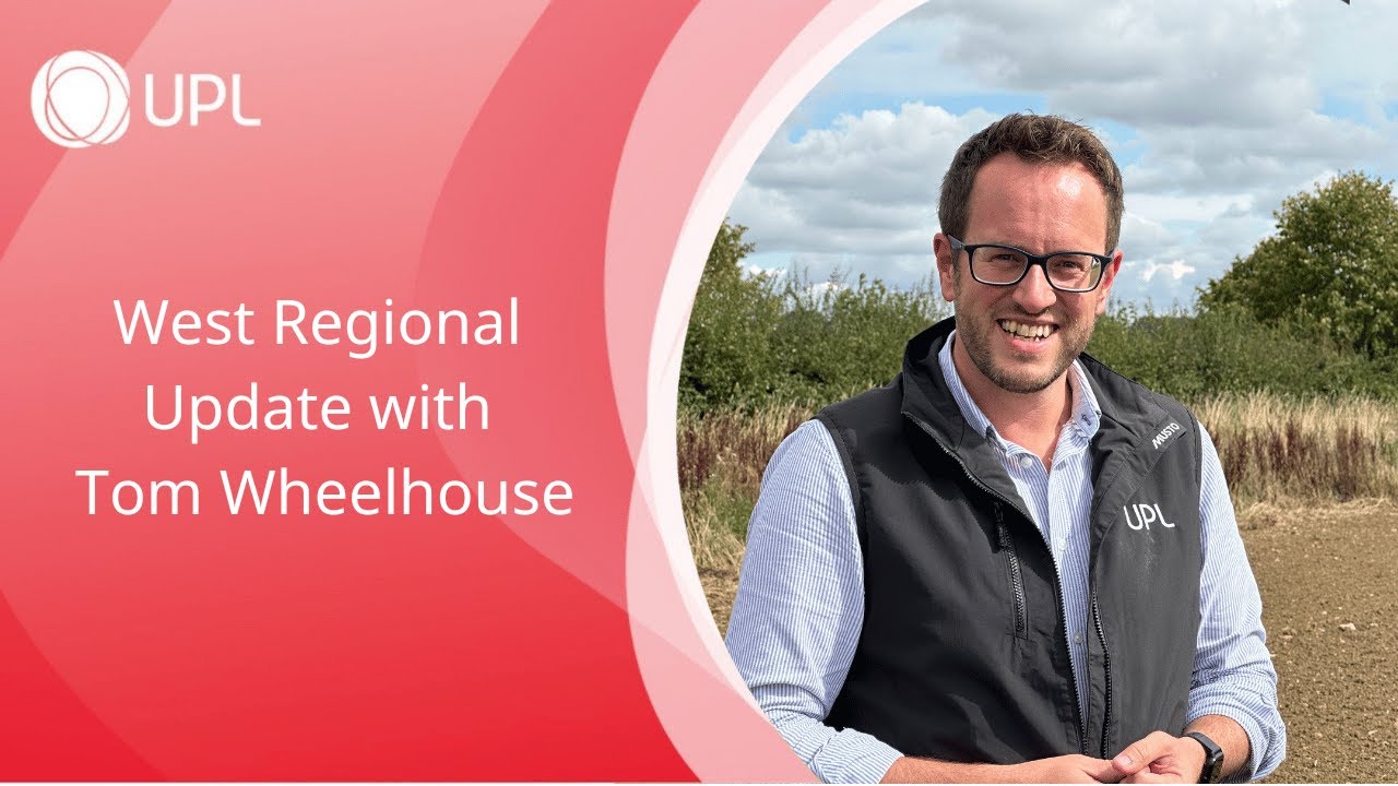 West Regional Update - Latest News and Insights