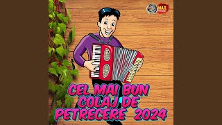 Cel Mai Bun Colaj De Petrecere 2024