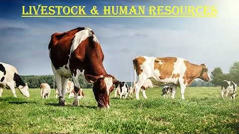 Livestock and Human Resources, CBSE, S.ST/EVS, Class - 4