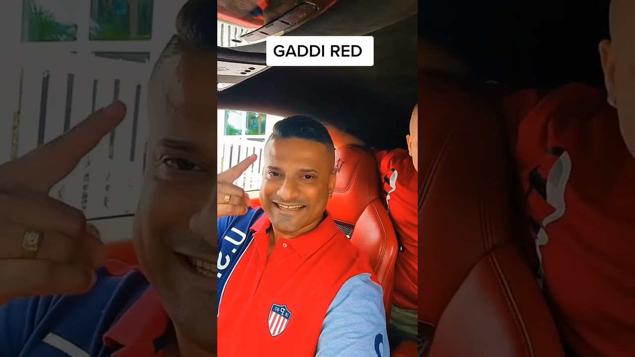 Cultural Vibes & Trends 