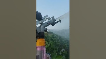 Béc Tưới PY35H2 Khách Tưới Vườn Ổi Thiết Bị Tưới Gia Nông