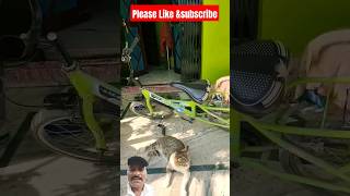 abhi cycle se lag jati na ๐ค๐ #shorts #viral #viralshorts #trending #love #video abhi cycle se lag jati na ๐ค๐ #shorts #viral #viralshorts #trending #love #video