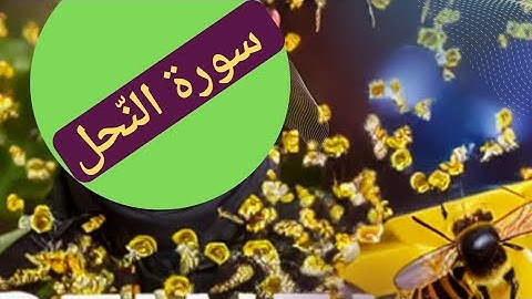 سورة النحل .تلاوة هادئة برواية حفص عن عاصم الوجه السادس#قرآن_كريم #سورة #آيات ##سورة النحل