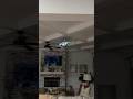 TINY Color Changing Rc Helicopter #rc #rchelicopter
