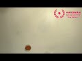 Light Ball Bounce - Aardman Academy