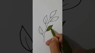 How to draw leaves 🌿 step by step |رسم اوراق شجر سهلة