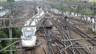 2019/04/30 【中国高速鉄道】 CRH380D型 上海駅 | China High-Speed Railway: CRH380D Series at Shanghai
