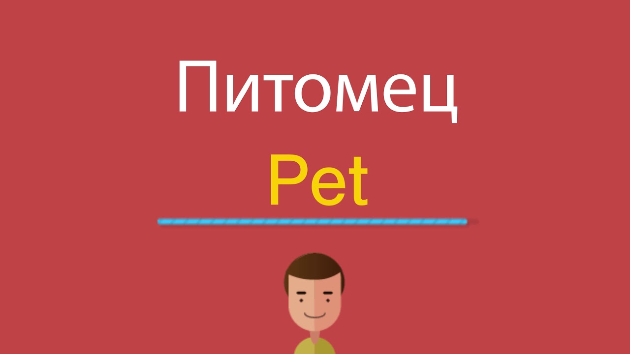 Переводчик пою. Pet перевод на русский язык. Как будет по английски петь. Переводчик петь по англ. Племянник по-английски.