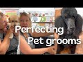 Perfecting your pet grooms sundays post 