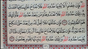 قراءة كل يوم صفحة من القرآن الكريم الجزء الثاني سورة البقرة صـ36 QURAN KARIM SURAT ALBAKARA PAGE 36