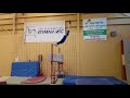 Napolon ct gymnamic junior compulsory routines 2017  high bar