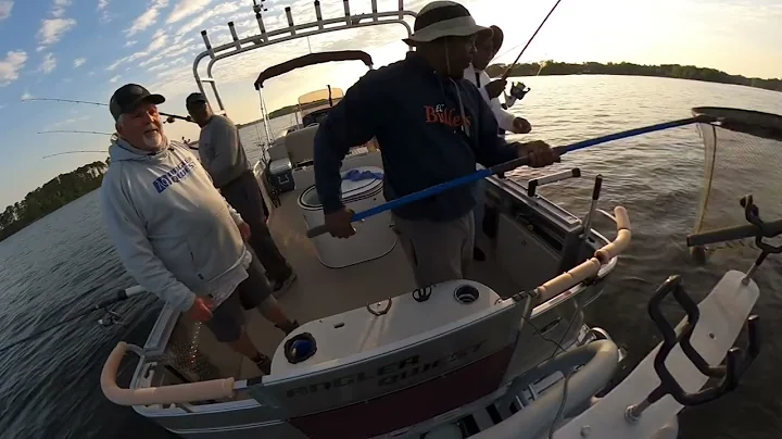 Spring Striper Action!  Live Bait!  Lake Murray SC