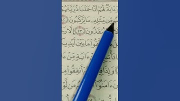 قراءة سورة يس بالقاعدة النورانية صفحة ٤٤٣