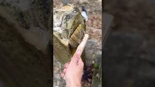 Restoring a Forgotten Obelisk Headstone – Historic Cemetery Preservation - Step 1