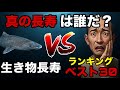 【人間は20位】植物・サンゴ除外の「真・動物寿命ランキング」TOP30。1位はまさかの1万年超え…