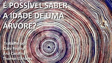 Como saber a idade de uma árvore?