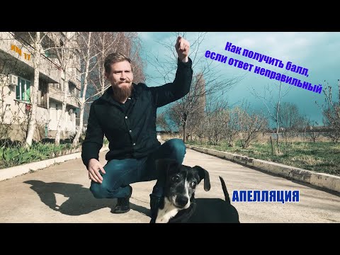 ПОЛУЧАЕМ БАЛЛ ЗА НЕПРАВИЛЬНЫЙ ОТВЕТ | ВЫПУСК 17 | Интеллектуальный мат