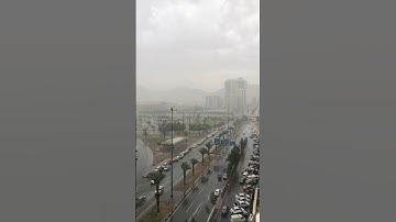 تلاوة هادئة وجميلة للشيخ | عبدالله المطرود 🥀🕊